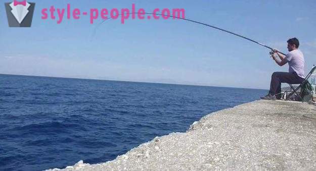 Tige Bolognese: construction, équipement et tactiques de pêche