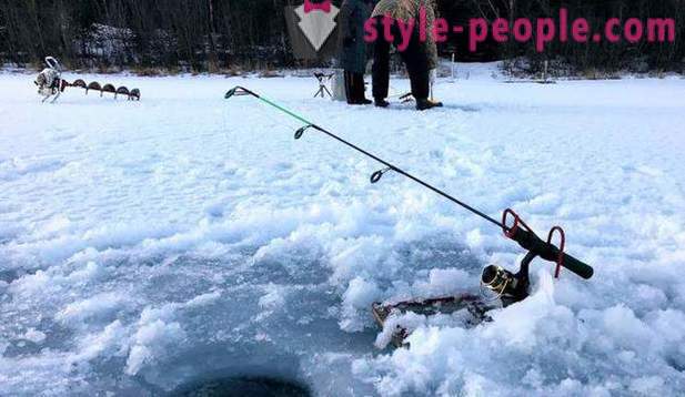 La chasse et la pêche dans la région de Perm: en particulier la pêche, les types de chasse et de pêche