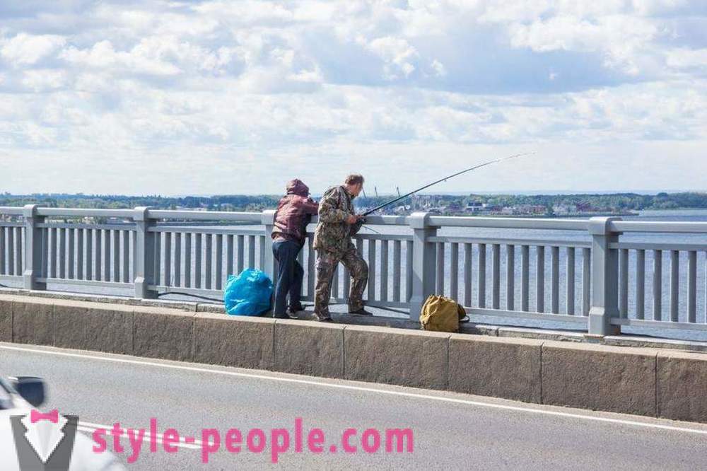 Pêche à Saratov, sur la Volga: photos et commentaires