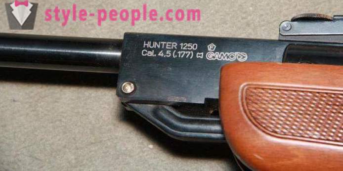 Carabine à air comprimé Gamo Hunter 1250: vue d'ensemble, les caractéristiques et commentaires