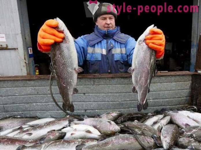 Pêche dans les pêcheurs Khakassie Conseils