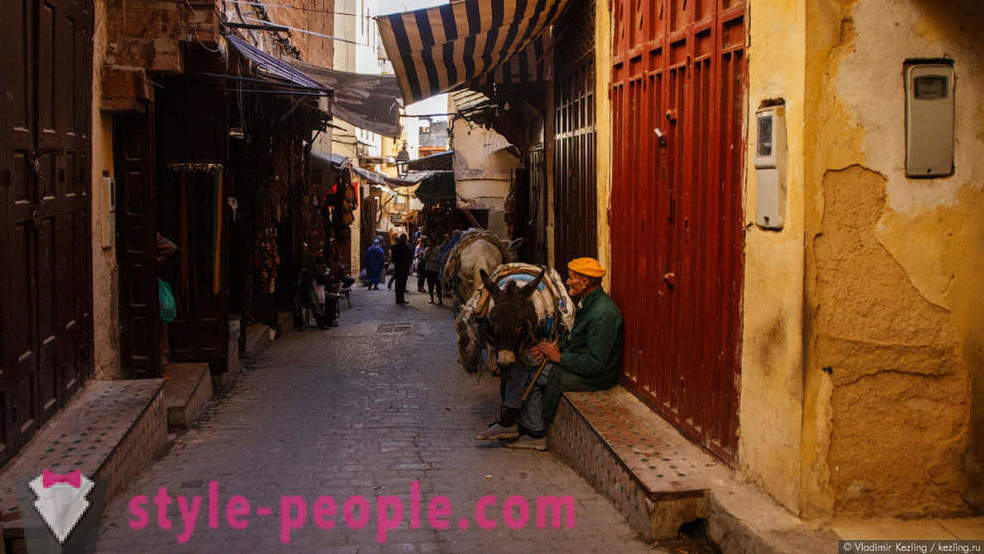 Conte de fée marocaine: une fétide Fès