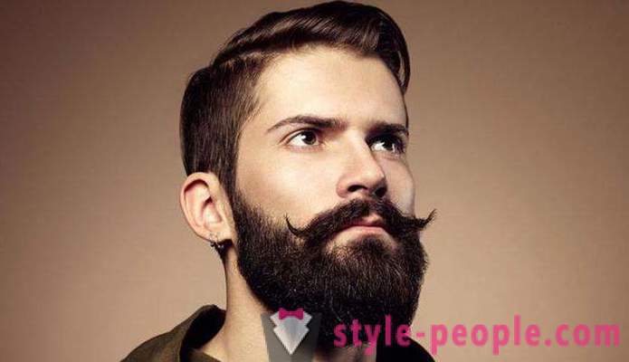 Barbe des hommes élégants: types, en particulier les soins