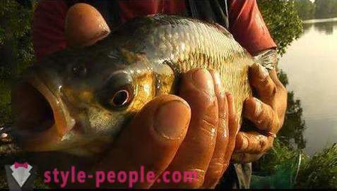 Pêche sur Pakhra: photos et commentaires. lieux de pêche