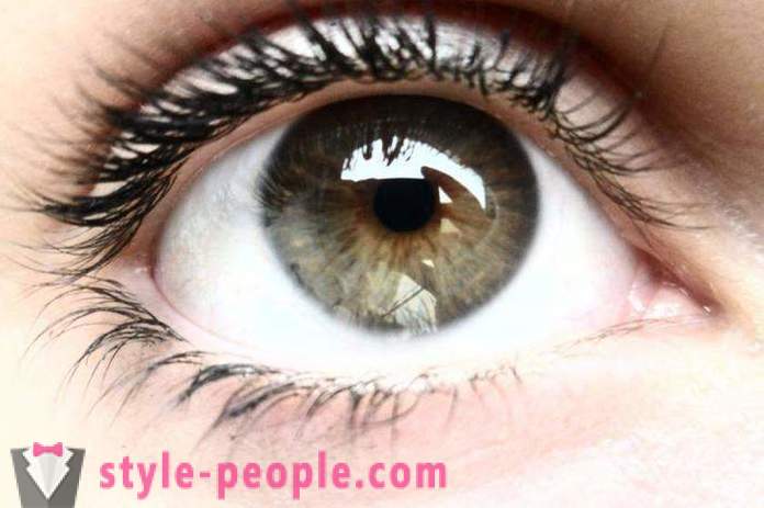 La couleur des yeux des marais. Ce qui détermine la couleur de l'oeil humain?