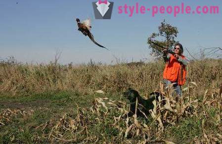 La chasse aux faisans avec husky (photo)