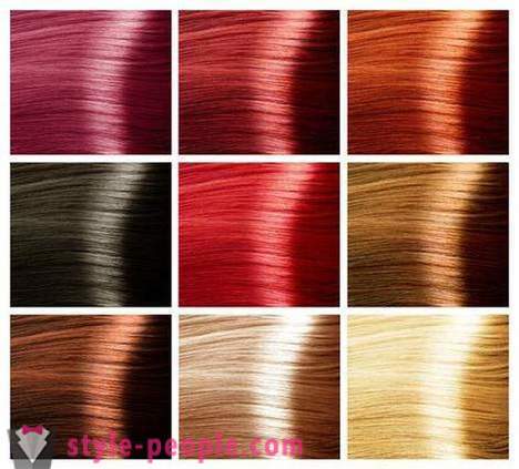 La palette de couleurs de cheveux. La palette de couleurs de peinture pour les cheveux