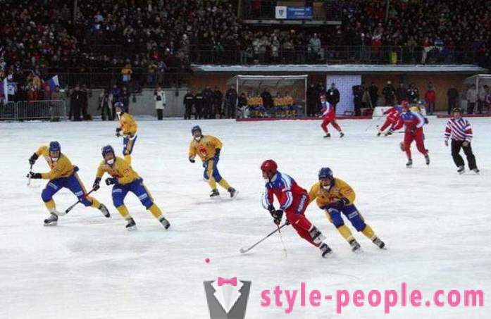 Règles de hockey sur glace avec une balle. Les règles du jeu du hockey