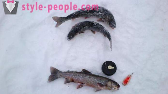 Les pêcheurs noter: pêche à la truite en hiver