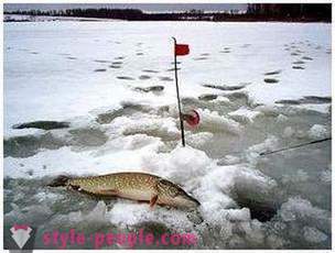 Pêche au brochet sur l'hiver zherlitsy. pêche au brochet dans la pêche à la traîne d'hiver