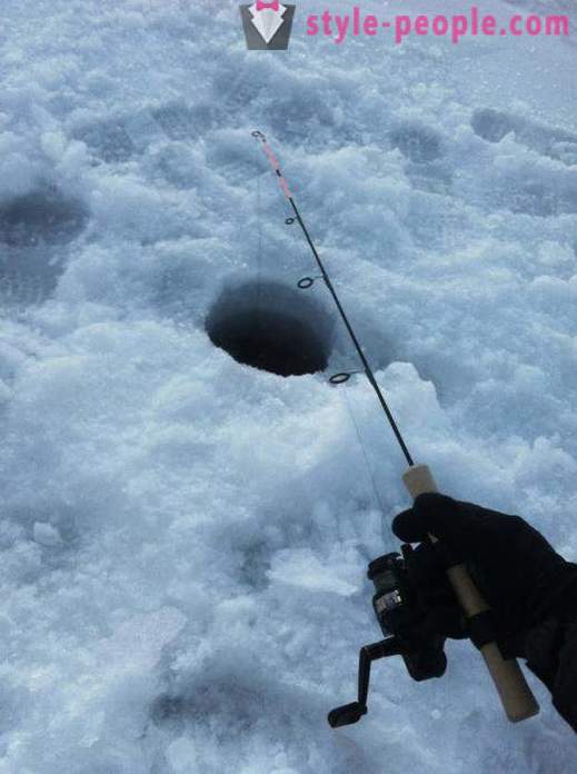 Pêche à la lotte en hiver sur zherlitsy. Prendre la lotte en pêche à la traîne d'hiver