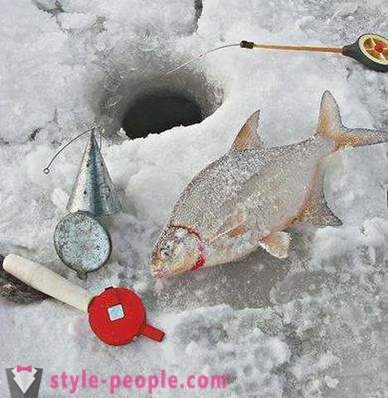 Pêche dorade en hiver: les tenants et les aboutissants pour les pêcheurs débutants