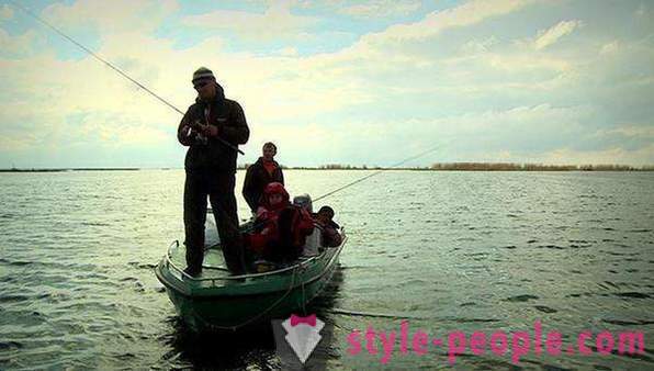 Comment attraper la carpe: recommandations pêcheurs