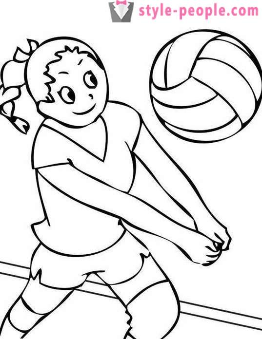 Les règles de base du volley-ball