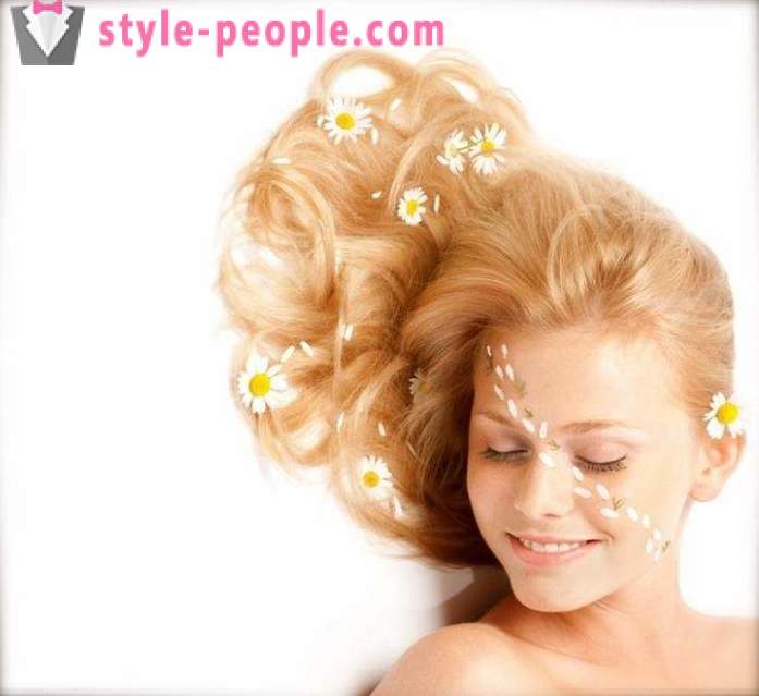 Camomille cheveux: bouillons, shampooings et masques