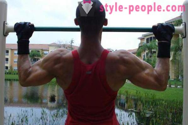 Comment construire vos muscles du dos? plusieurs exercices
