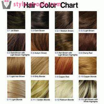 Comment choisir une nouvelle couleur de cheveux pour vous-même?